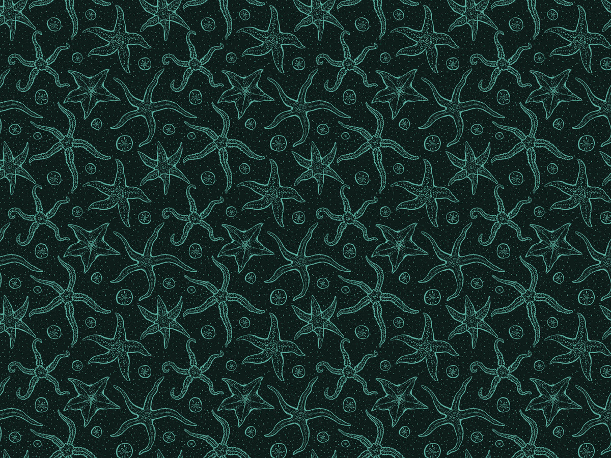 Dark Blue Echinoderms Wallpaper in your room — zoomed