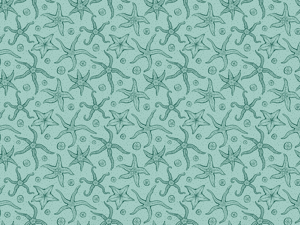 Light Blue Echinoderms Wallpaper in your room
