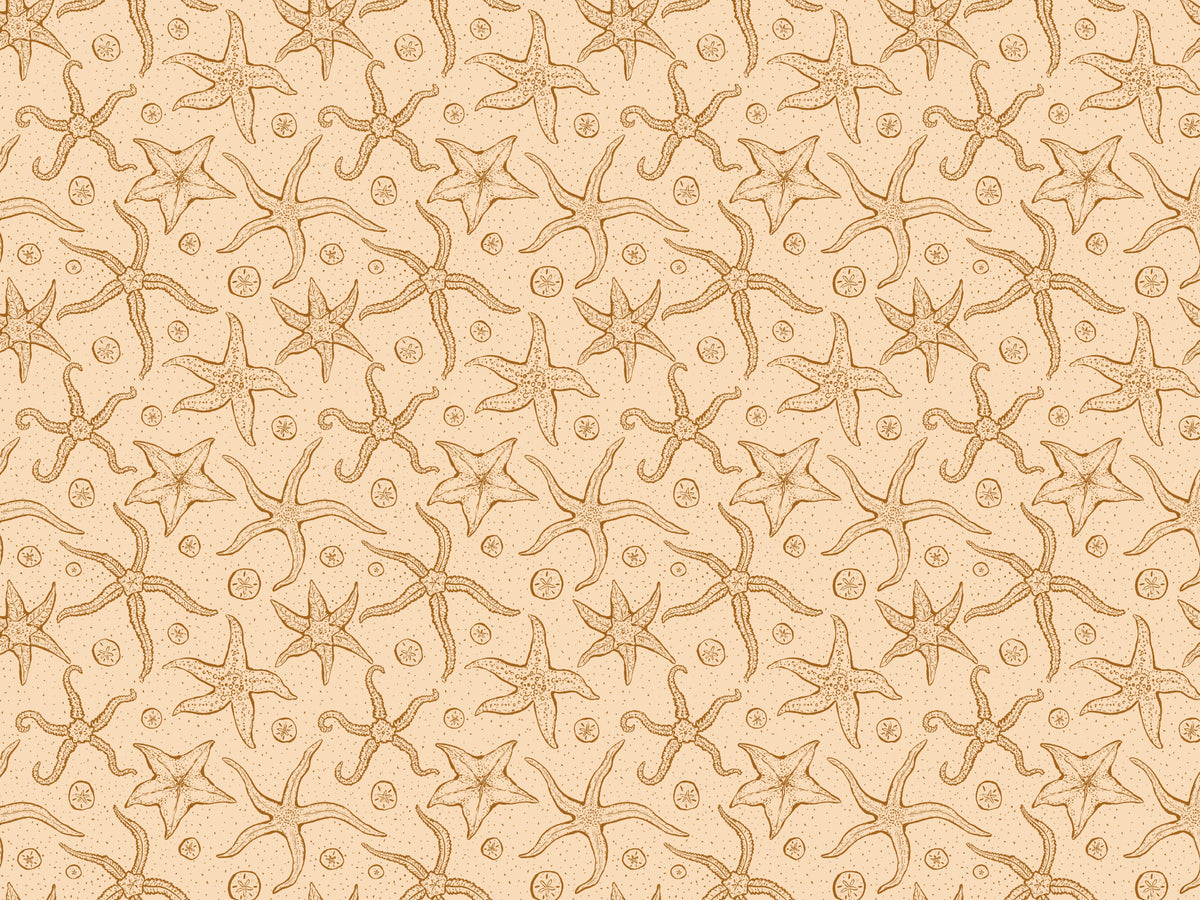 Warm Brown Echinoderms Wallpaper in your room