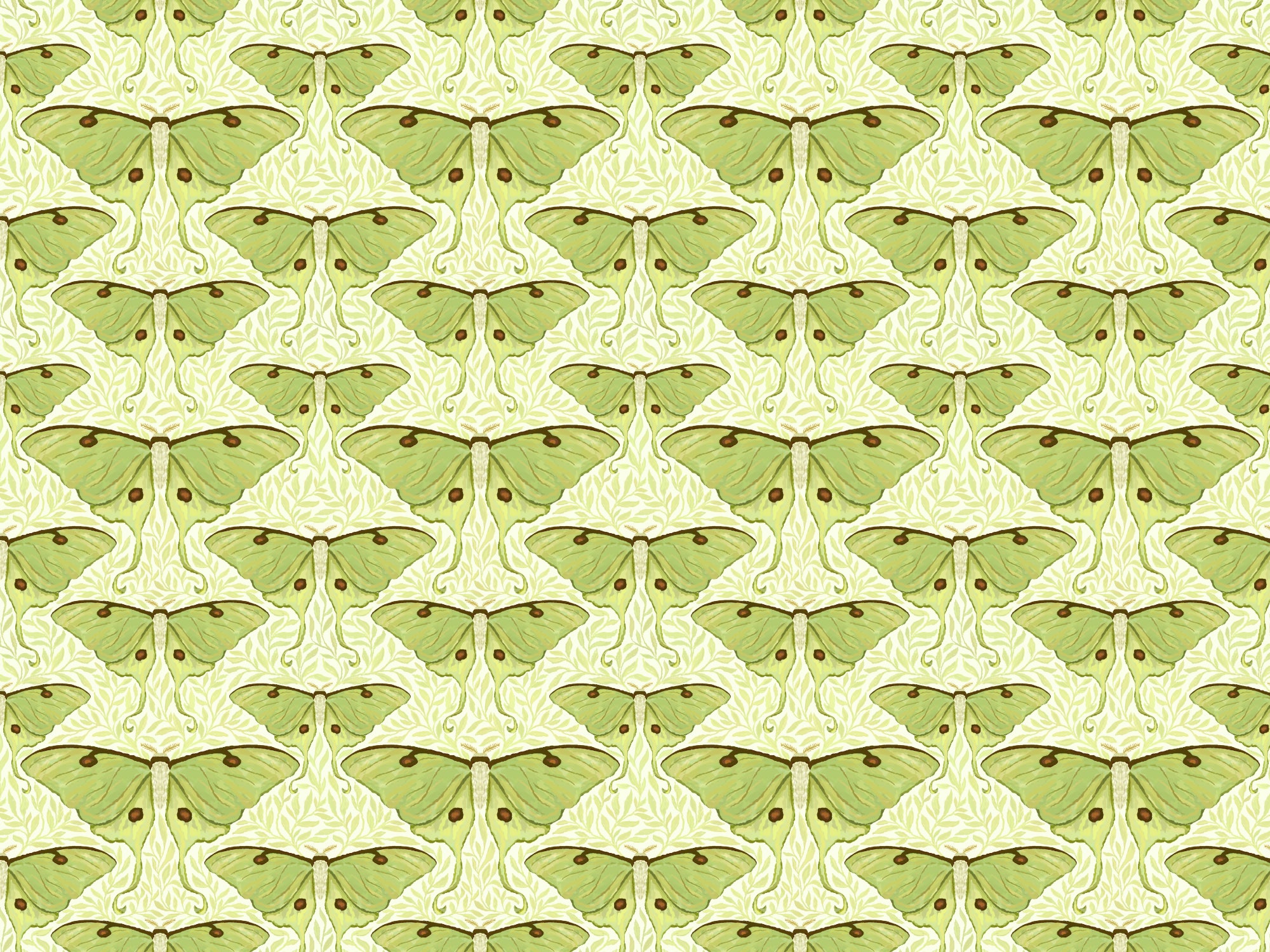 Luna Moth and Leaves Wallpaper for Walls