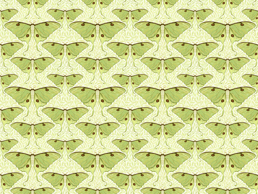 Luna Moth and Leaves Wallpaper for Walls