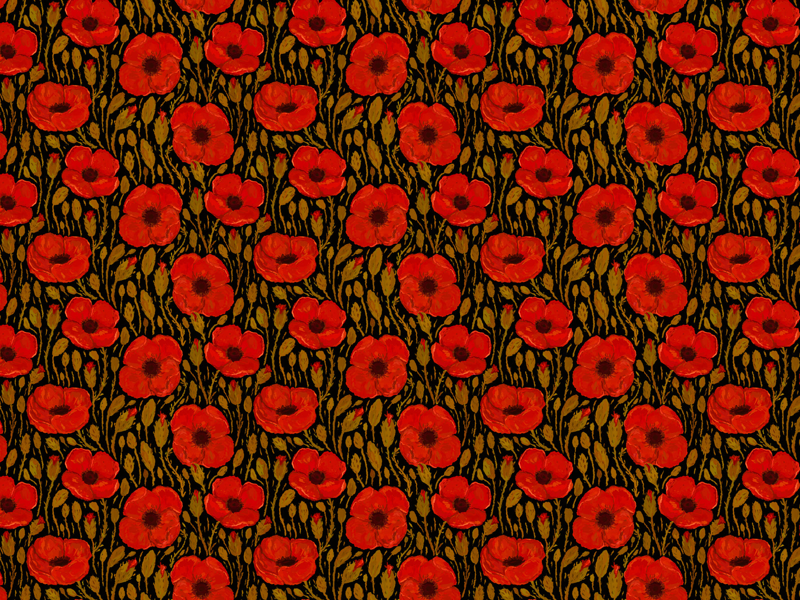 Dark Red Poppy Wallpaper