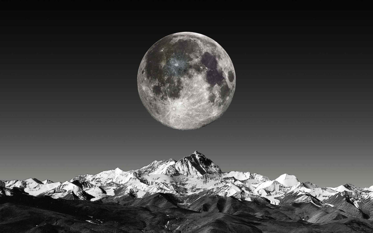 Black and White Moonlight Wallpaper Mural