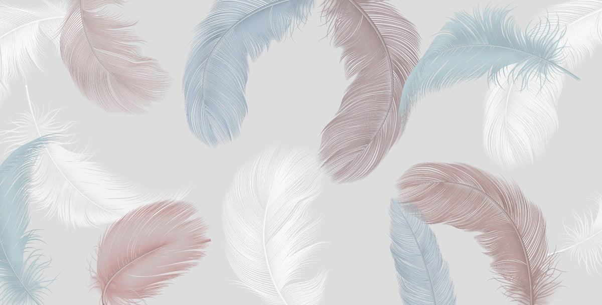 Designer Colorful Feather Wallpaper Murals in your room