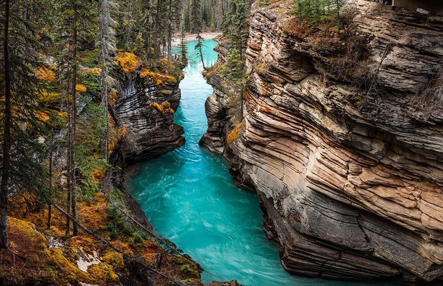 Autumn Serenity at Athabasca Falls Wallpaper in your room — zoomed