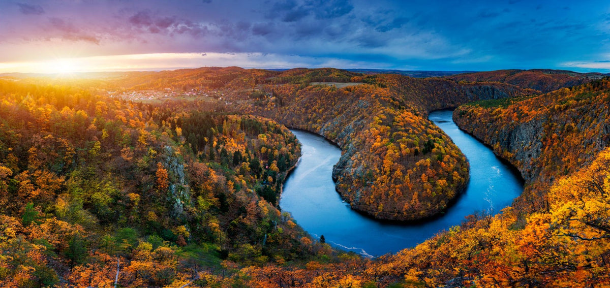 Vltava River Autumn Forest Wallpaper Mural in your room — zoomed
