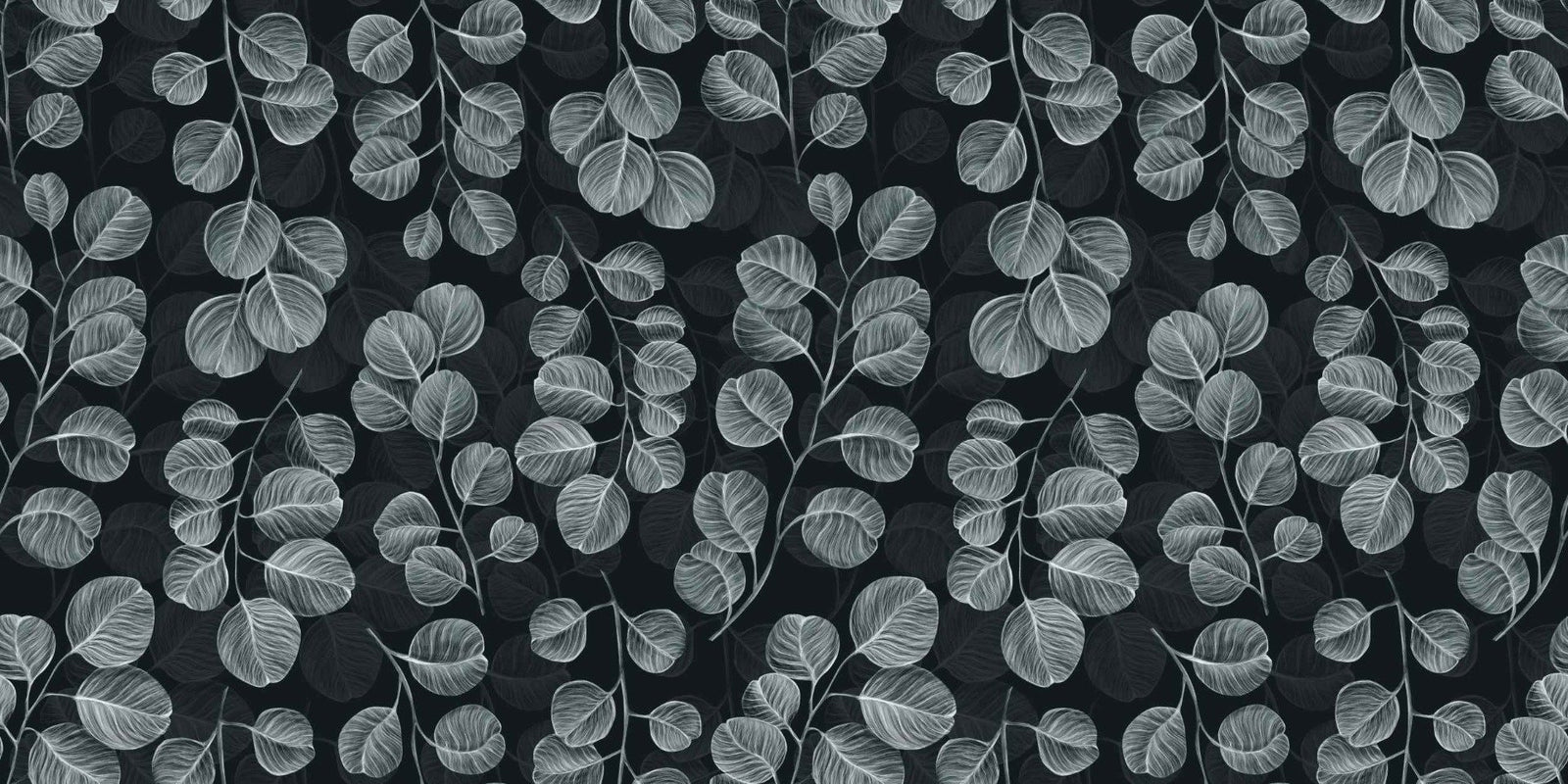 Eucalyptus Gray Leaves wallpaper mural