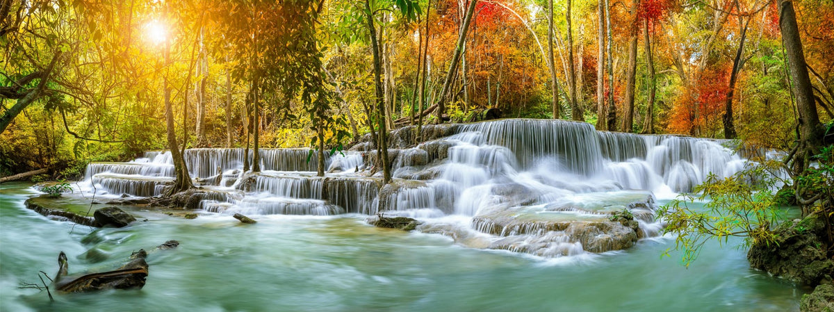 Natural Sparkling Waterfall Jungle Wallpaper Mural in your room