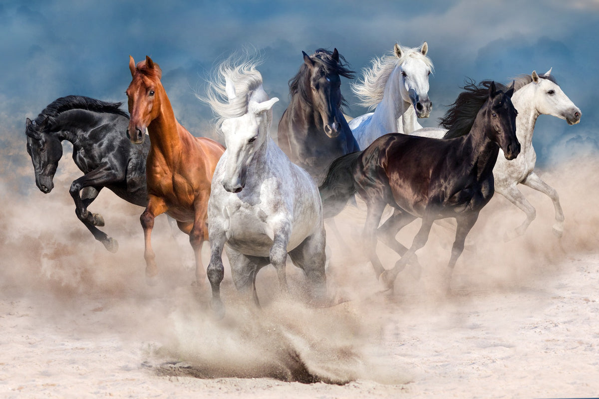 Stormy Running Horse Desert Wallpaper Mural in your room