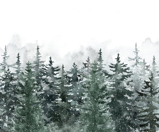 Misty Pine Winter Forest Wallpaper Mural