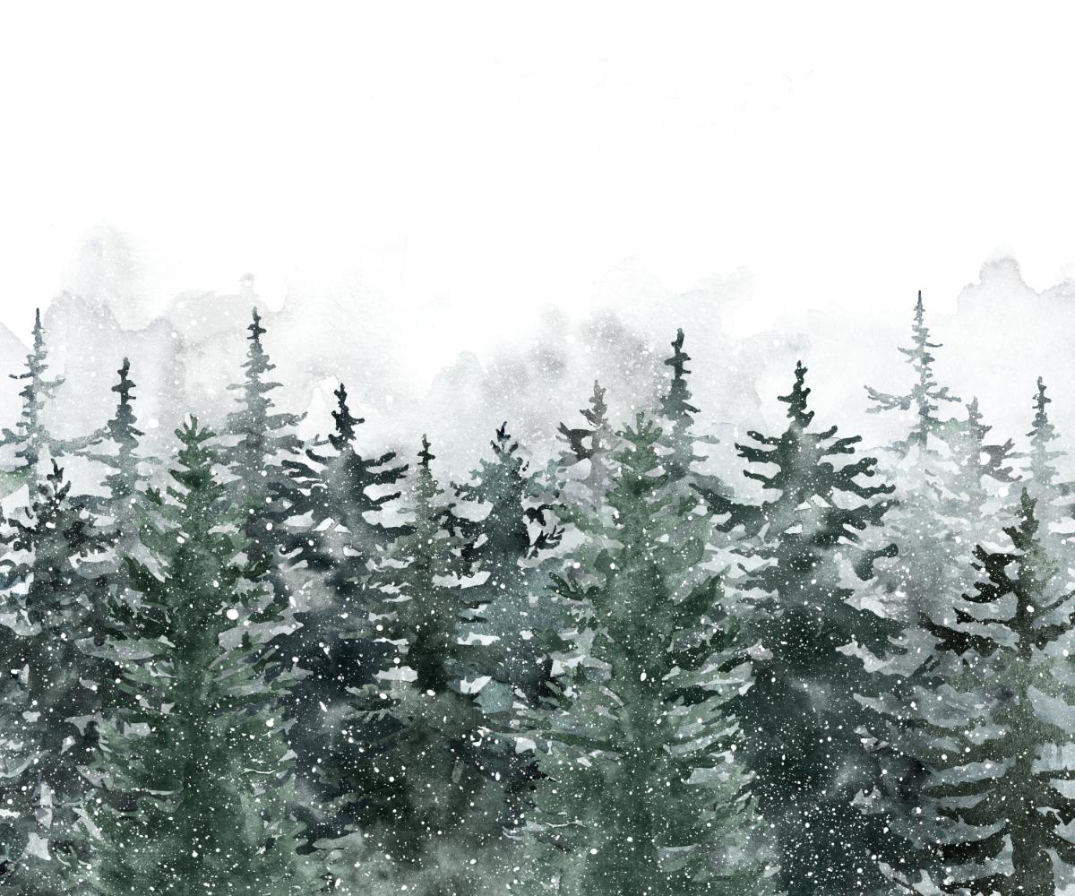 Misty Pine Winter Forest Wallpaper Mural in your room