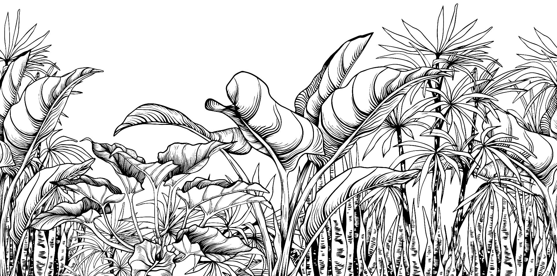 Black & White Big Tropical Leaves Wallpaper Mural in your room — zoomed