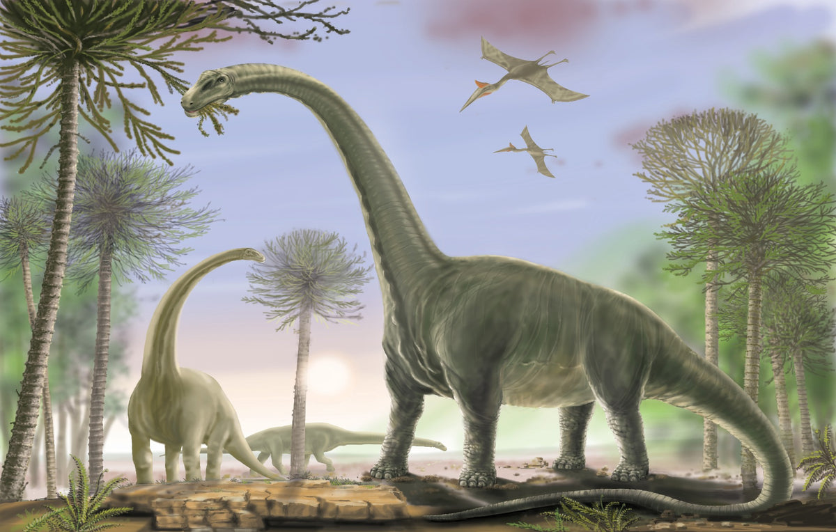 Animated Dinosaur Wallpaper Mural in your room