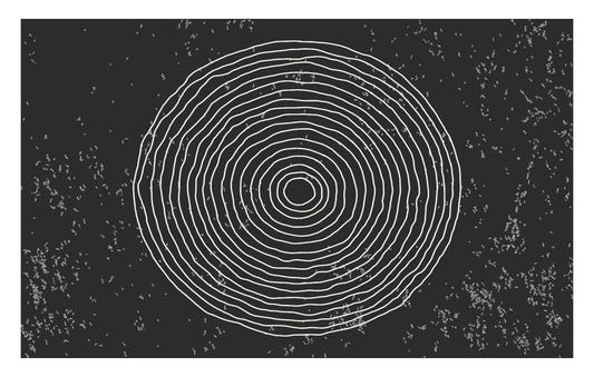 Black & White Concentric Circles Wallpaper Mural