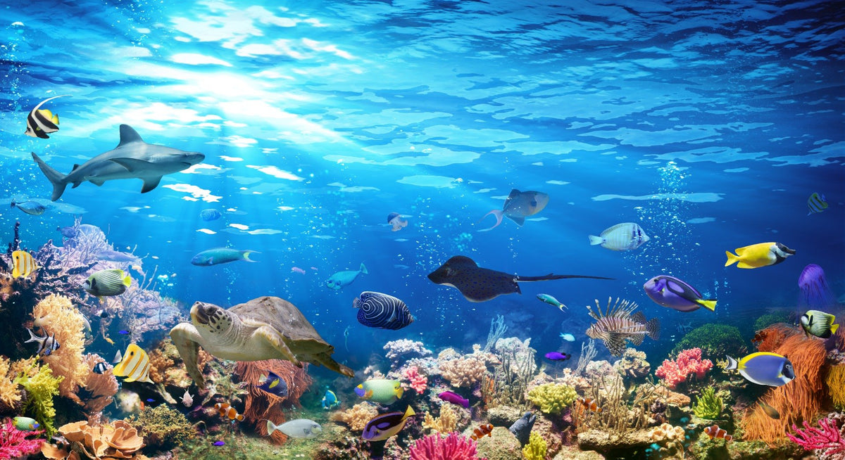 Deep Blue Sea Water with Corel Reef wallpaper Mural in your room — zoomed