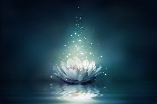 White Lily Wallpaper Mural
