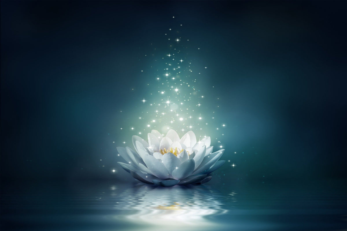 White Lily Wallpaper Mural in your room — zoomed