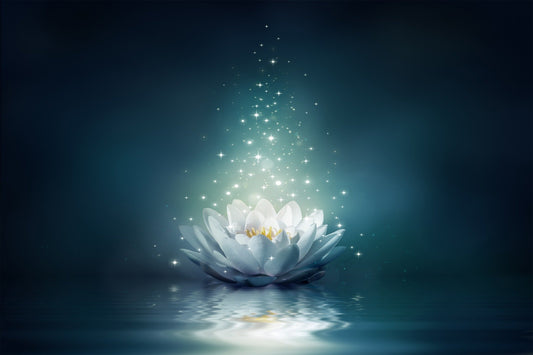 White Lily Wallpaper Mural