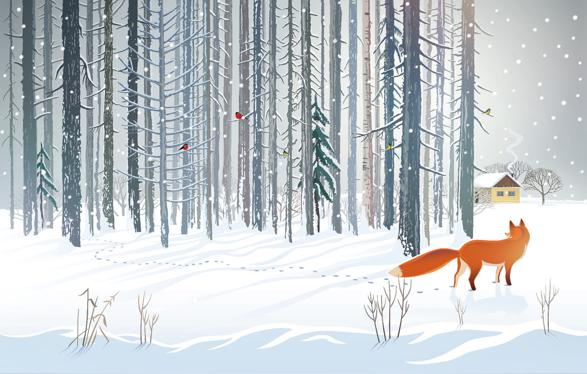 Winter Forest Fox Wallpaper Mural in your room