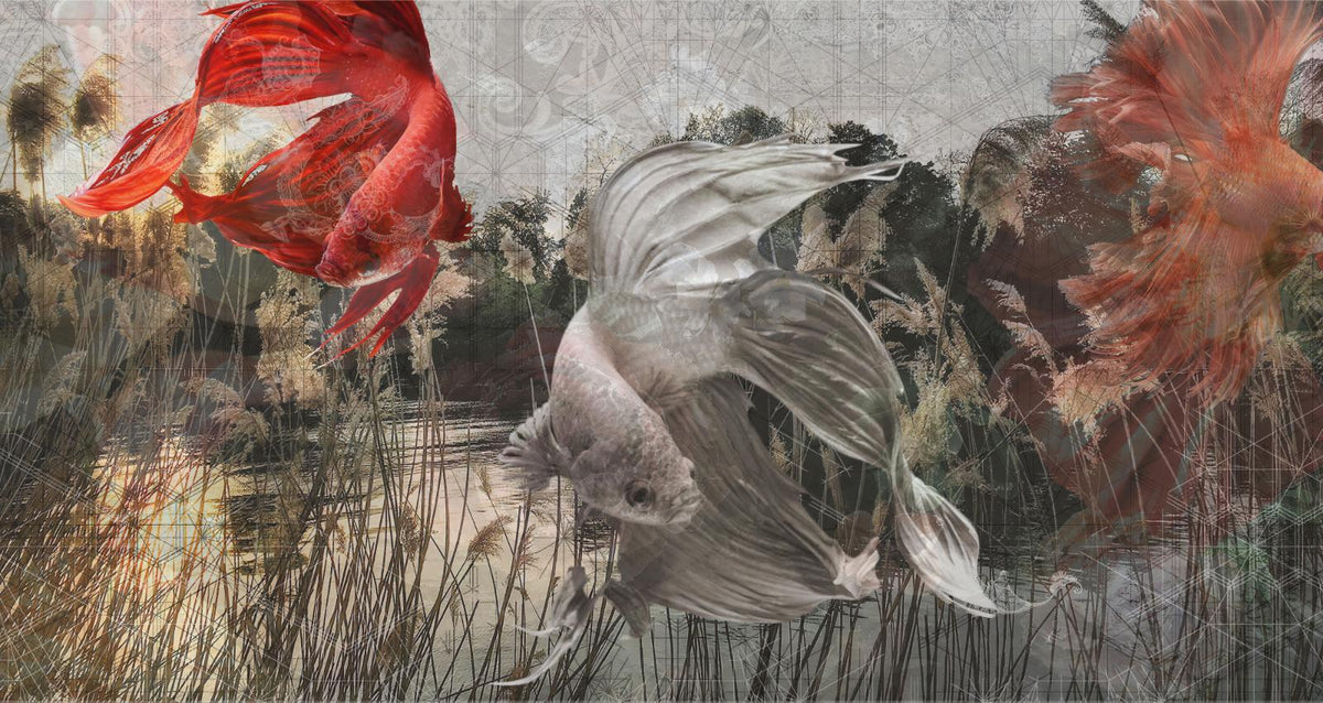 Underwater Fishes Wallpaper Murals in your room — zoomed