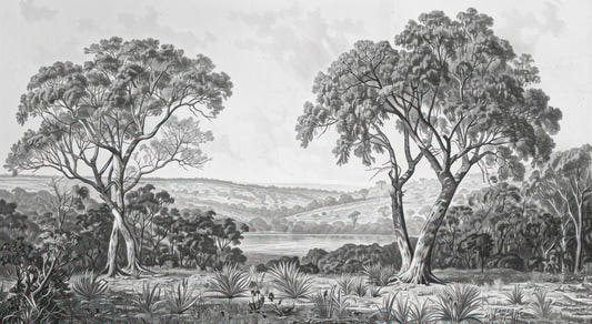 Black & White Fog Covering Trees Forest Wallpaper Mural