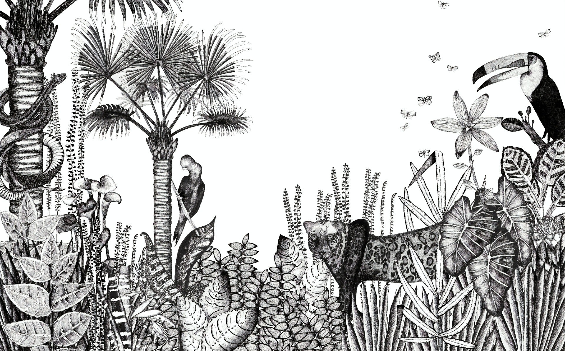 Charcoal Pencil Art Tropical Wallpaper Murals