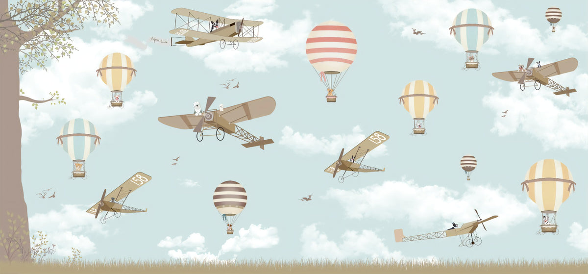 Hot Air Balloons & Planes Fun land Wallpaper Murals