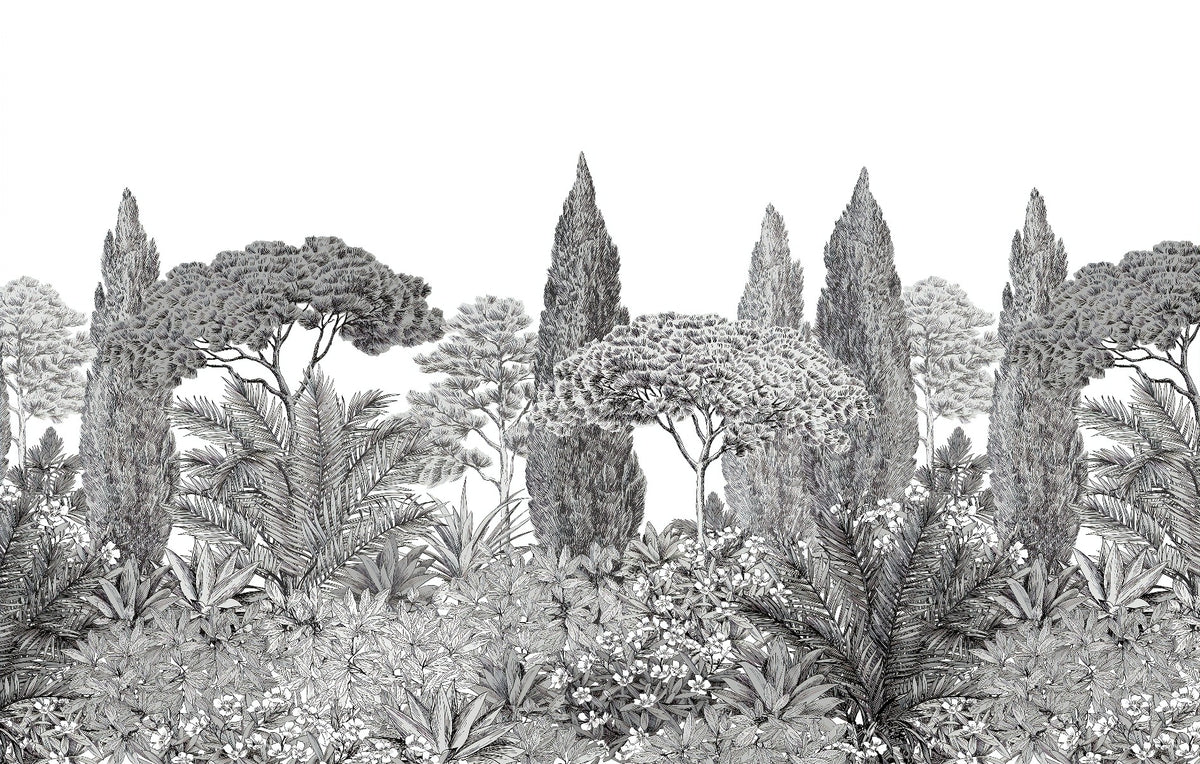 Gray Deodar Trees Wallpaper Murals in your room — zoomed