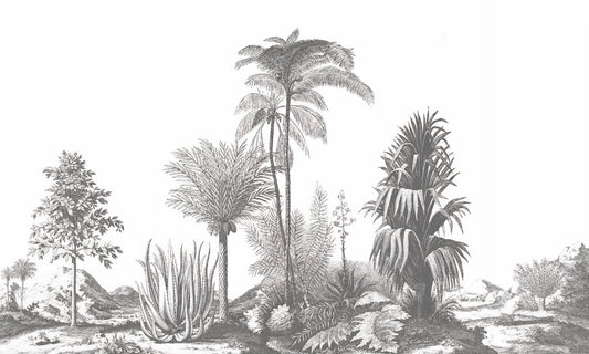 Gray Tone Tropical Serene Wallpaper Murals