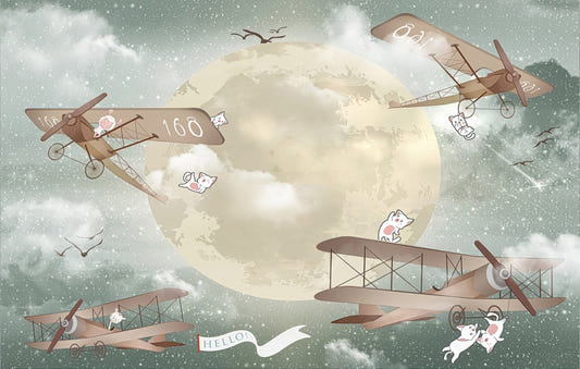 Moonlight Airplanes Wallpaper Murals