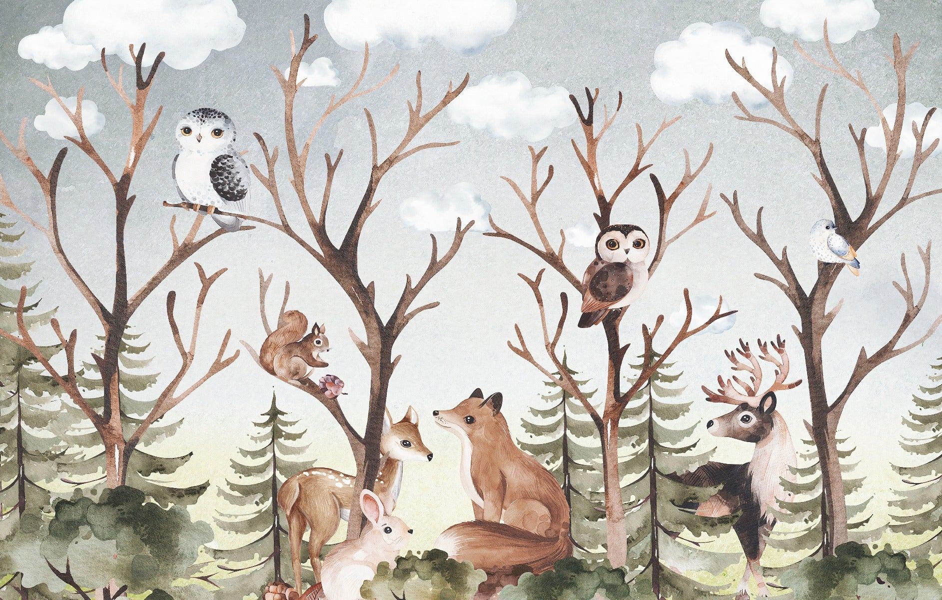 Forest Fall Kids Room Wallpaper Mural