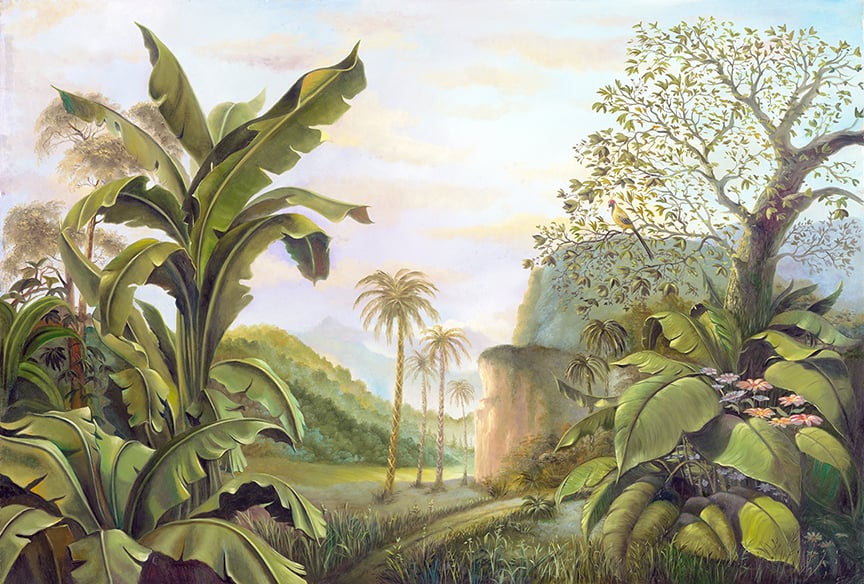 Medieval Rainforest Wallpaper Murals