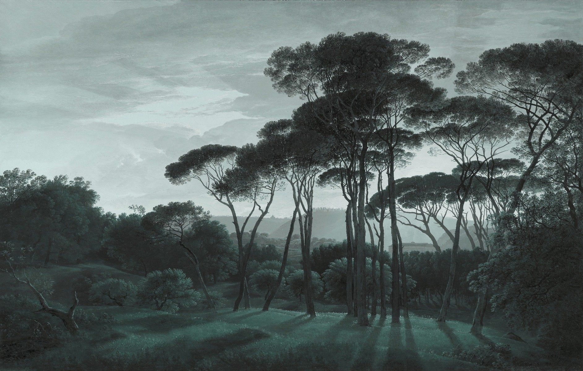 Dark Green Misty Forest Tree Wallpaper Murals