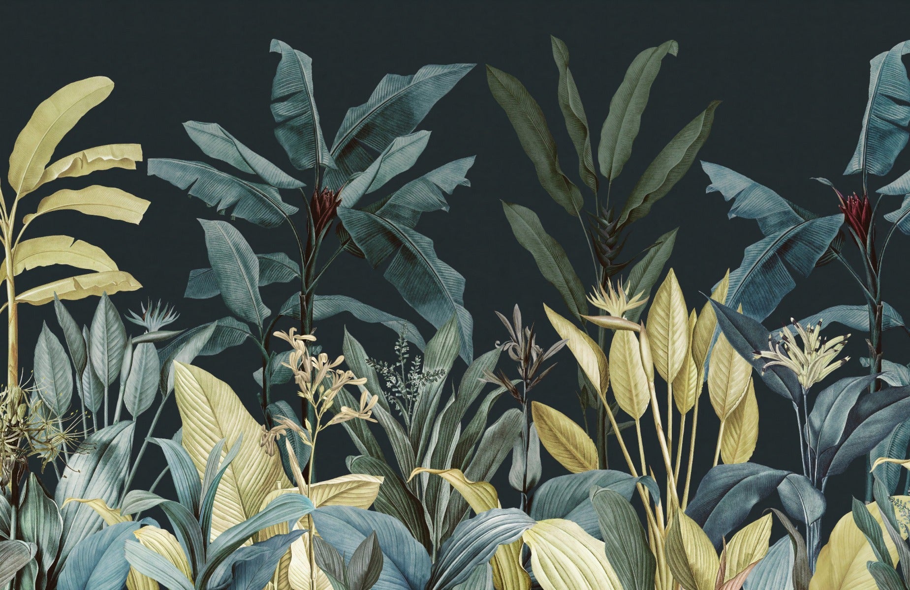 Dark Night Vintage Tropical Tree Wallpaper Murals
