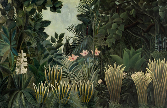 Lush Green Tropical Forest Wallpaper Murals