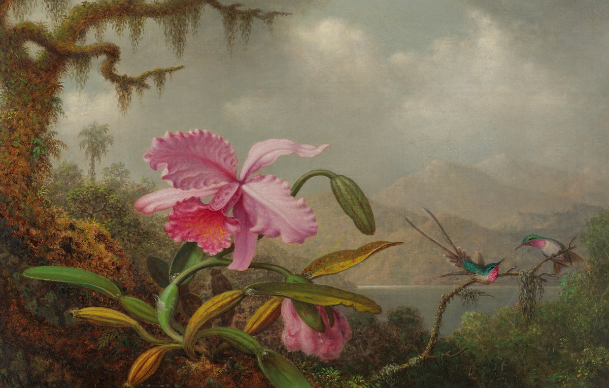 Pink Flower Wallpaper Mural in your room — zoomed