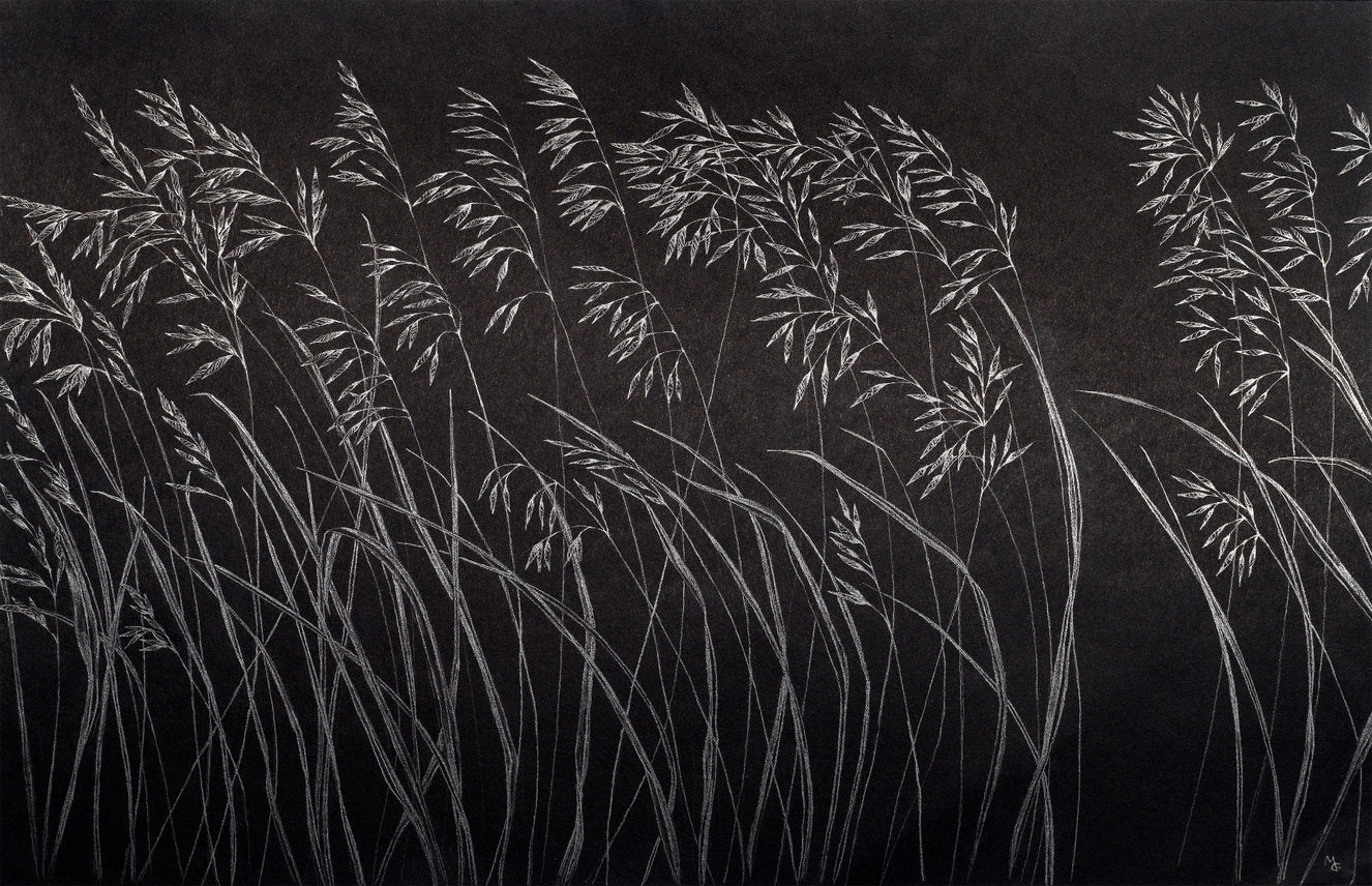 Dark Artistic Reeds Wallpaper Murals