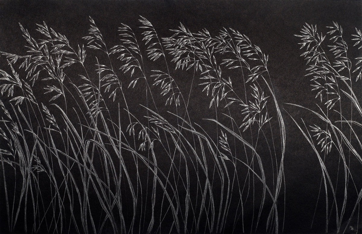 Dark Artistic Reeds Wallpaper Murals in your room