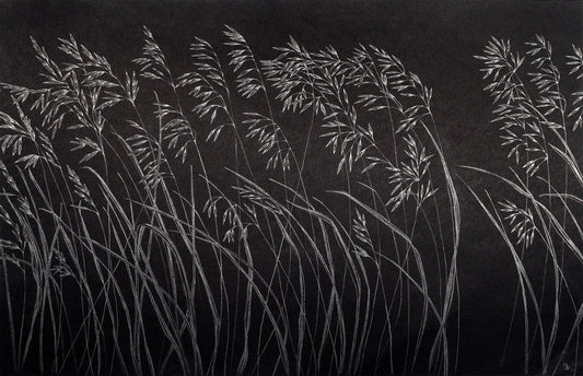 Dark Artistic Reeds Wallpaper Murals