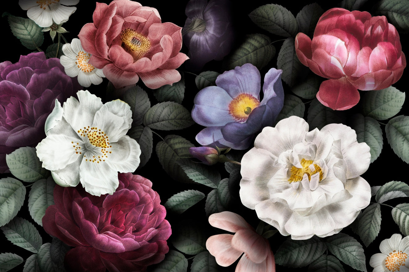 Flower Dark Background Wallpaper Murals