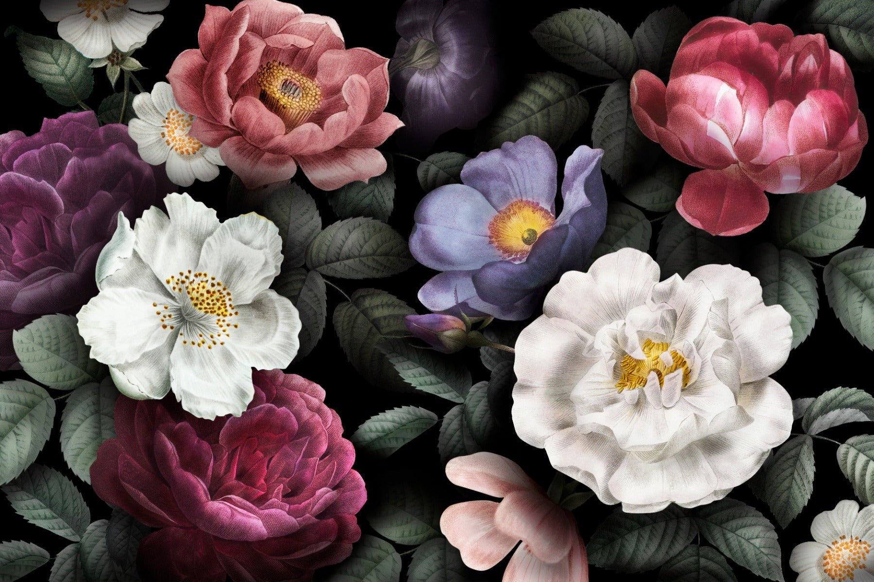 Flower Dark Background Wallpaper Murals