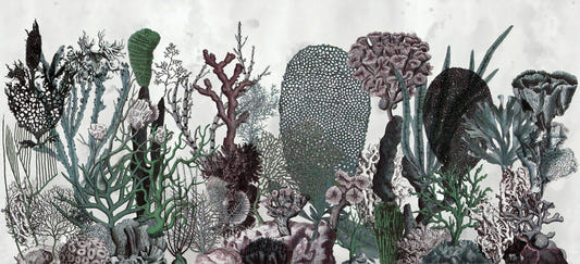Flowers & Plant Wallpaper Murals