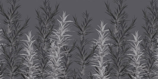 Grey Dracaena Wallpaper Murals