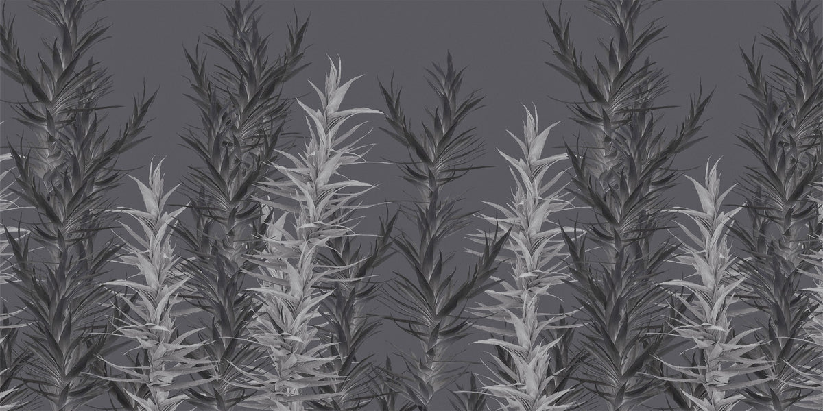 Grey Dracaena Wallpaper Murals in your room — zoomed