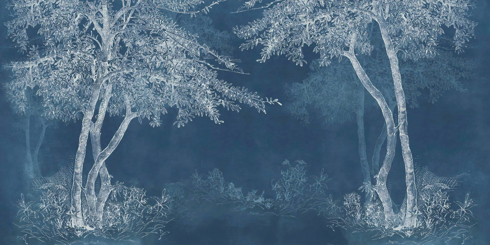 Blue Woods Wallpaper Murals