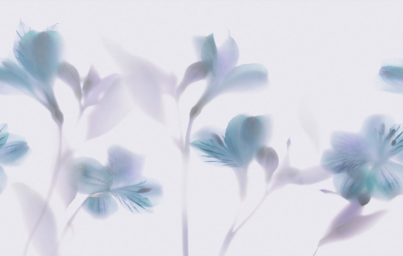 Blue Orchids Foggy Wallpaper Murals