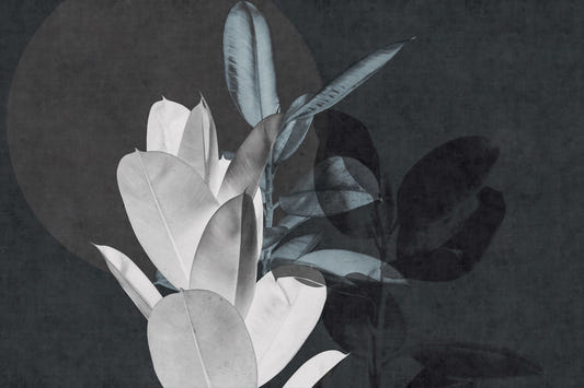 Large Leaves Textured Wallpaper Murals