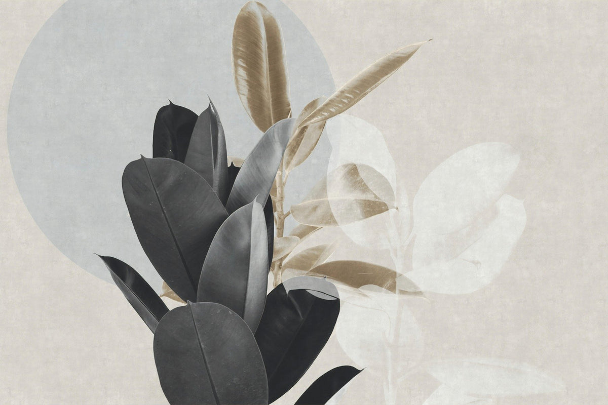 Alluring Dust Aesthetic Wallpaper Art in your room
