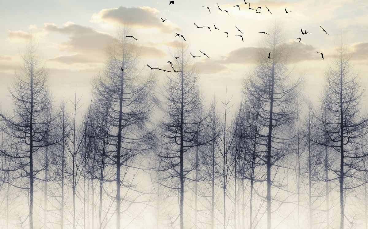 Eerie Foggy Forest Spooky Tree Halloween Wallpaper Mural