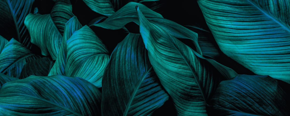 Metallic Tropical Foliage Wallpaper Murals in your room — zoomed